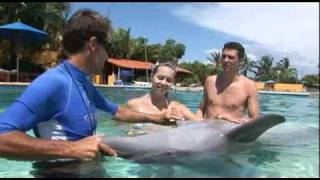 Dolphin Encounter by Vallarta Adventures [upl. by Anneh912]