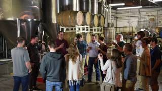 Palmetto Brewing Company Tours amp Tasting Charleston SC [upl. by Wina]