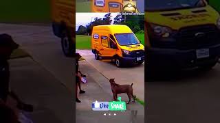 Now I respect delivery drivers more they have to deal with these dog chases🐕 [upl. by Aerdnaed]