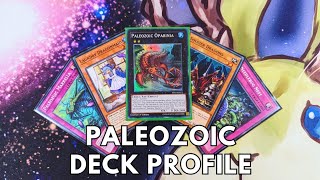 Competitive Paleozoic deck profile May 2024 TCG Yugioh [upl. by Odranar]