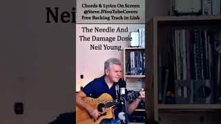 🎸 Needle And The Damage Done  Neil Young [upl. by Len687]