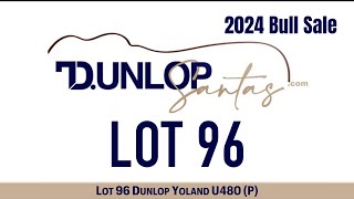 Lot 96 Dunlop Yoland U480 P [upl. by Dj]