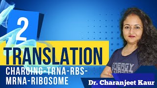 Translation  Chapter2  ChargingtRNARBSmRNARibosome  Molecular Biology  Dr Charanjeet Kaur [upl. by Luci972]