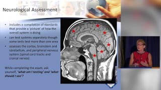 Neurological Assessment [upl. by Isabea]