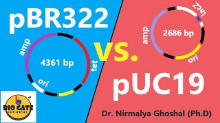 pBR322 vs pUC19 animation cloning csirnet [upl. by Idel]