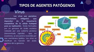 7° Agentes patógenos y medidas preventivas [upl. by Leigha]