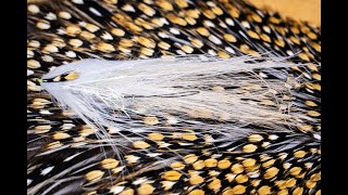 Trout Streamer With Dave Nelson from Squimpish Flies [upl. by Adnotal]