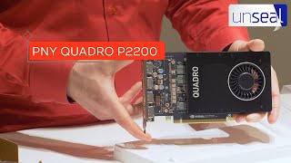 Unseal  PNY Quadro P2200 Graphics Card [upl. by Meensat]