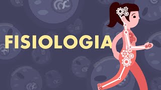 FISIOLOGIA Introdução à Homeostasia [upl. by Miyasawa135]