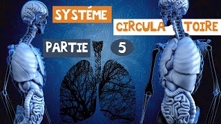 le système circulatoireLe rythme cardiaque partie 5 [upl. by Ettenhoj]