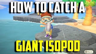 How to Catch a Giant Isopod  Giant Isopod Animal Crossing New Horizons  Giant Isopod ACNH [upl. by Jansen223]