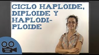 Ciclo Haploide diploide y haplodiploide [upl. by Ahasuerus]