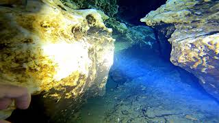 Ginnie Springs Cave Dive to Worm Hole [upl. by Bosch598]