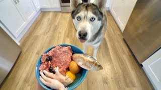 What Feeding Raw Breakfast Every Morning Looks Like With My Husky [upl. by Windy]