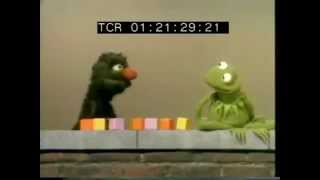 Classic Sesame Street  Grover and Kermit Count 9 Blocks [upl. by Narol769]