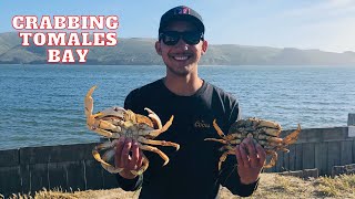 CRABBING  Lawsons Landing Tomales Bay [upl. by Aihsema]