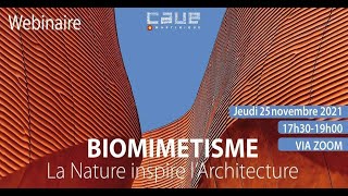 Biomimétisme  Quand la nature inspire larchitecture [upl. by Merrile]