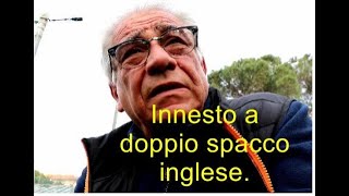 Innesto a doppio spacco inglese [upl. by Assiralc]