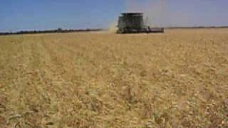 Trilla de trigo Harvesting wheat Combine [upl. by Sone]