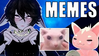 Only The Best Memes  VRchat Interview [upl. by Asreht]