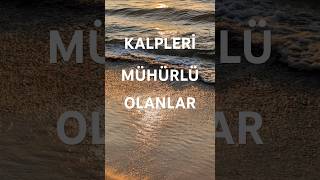 “Kalpleri Mühürlenmiş Olanlar  Bakara 67” [upl. by Garcia]