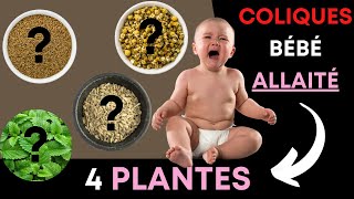 Soulagez les coliques de votre bébé avec ces 4 plantes [upl. by Keeler]