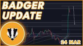 BADGER EMERGENCY UPDATE🚨  BADGER PRICE PREDICTION amp NEWS 2024 [upl. by Tyoh]