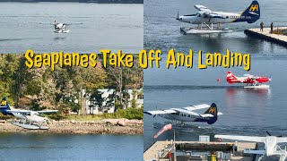 Seaplanes take off and landing in Vancouver Harbor Airport  Harbour Air [upl. by Auhesoj]