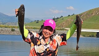 Fishing Carp N ONE Rod 2Fish at Lake Success Nuv PamNais Tom Tiag Tiag [upl. by Grindlay]