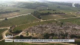 VUE DEN HAUT  Les vignes de ChâteauneufduPape [upl. by Nagaem]