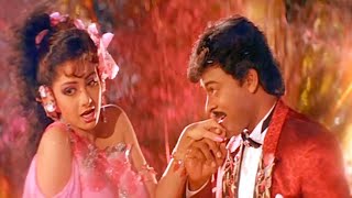 Priyathama Nanu Palakarinchu Song Full HD  Chiranjeevi Sridevi Superhit Song  Telugu Video Songs [upl. by Anerehs]