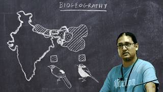 Basic Ornithology Biogeography [upl. by Sisxela]