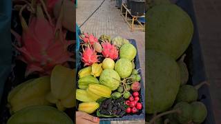 Fruits harvesting in my garden fruits mygarden harvesting gardening shortvideo ytshorts [upl. by Ailimaj]