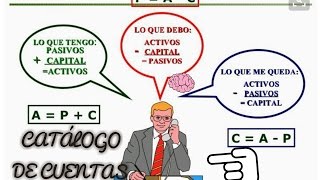 CATÁLOGO DE CUENTAS DE ACTIVOS PASIVOS Y CAPITAL CONTABILIDAD [upl. by Jamnes]