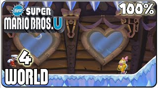 New Super Mario Bros U  Walkthrough  Part 4 Frosted Glacier [upl. by Aynekal]