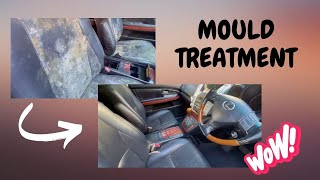 🌟 Mould Treatment Before amp After Witness the Transformation 🚗✨ [upl. by Lilian592]