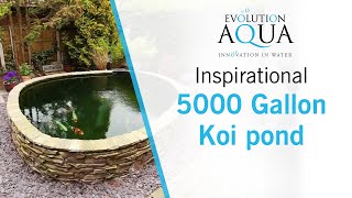 Inspirational Koi Ponds  5000 gallons  Marcus Cox [upl. by Hachmin]