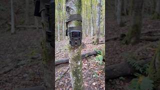 Technaxx Mini nature wild cam TX117 wildcamera wildanimals tx117 hunting [upl. by Tripp]