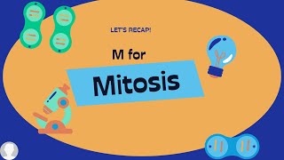 Mitosis Memory Tiplifesciencebiology examprep [upl. by Sallyanne]