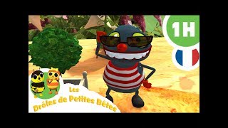 DRÔLES DE PETITES BÊTES  1 Heure  Compilation 04 [upl. by Egiedan955]