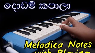 Dodam Kapala Notation  Olinda Keliya Music Sir සංගීත සර් Melodica Music Sinhala [upl. by Alian]