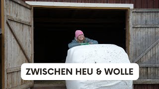 Zwischen Heu amp Wolle  Unsere Schafe in Nordschweden [upl. by Elyag]