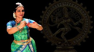 Bharatanatyam Dance Lessons for Beginners  Teach By Srekala Bharath  Basic Steps For Beginners [upl. by Lennor]