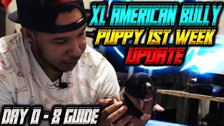 XL American Bully Puppies Week 1  Whelping First Bully Litter Guide Day 0  8 What To Expect [upl. by Ainaznat]