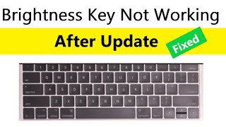 How to fix Screen Brightness Keys Not Working After Update  Hp laptop brightness keys not working [upl. by Lahpos995]