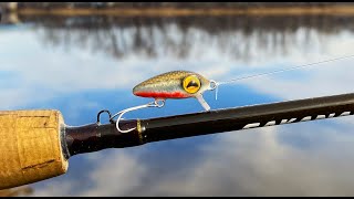 Nano Red Belly Dace JerkBait  One Day Build to Catch [upl. by Martin]