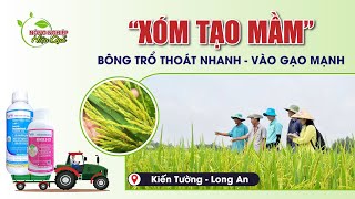 REVIEW 66  quotXÓM TẠO MẦMquot  BÔNG TRỔ THOÁT NHANH  VÀO GẠO MẠNH [upl. by Larcher805]