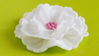 How to make Fondant Flowers  Cake Decorating Tutorial [upl. by Ilujna]