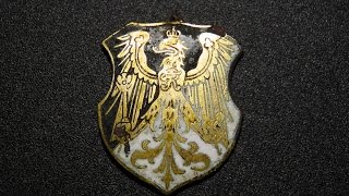 Metal Detecting Prussia  Badges and Silver  some live [upl. by Beryle]