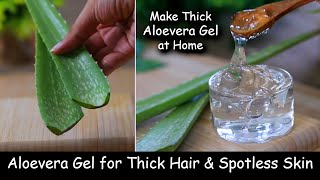 Homemade Aloevera Gel  for Thick Hair Growth amp Spotless Skin  Make Aloevera Gel at Home from Leaf [upl. by Ahsennod752]